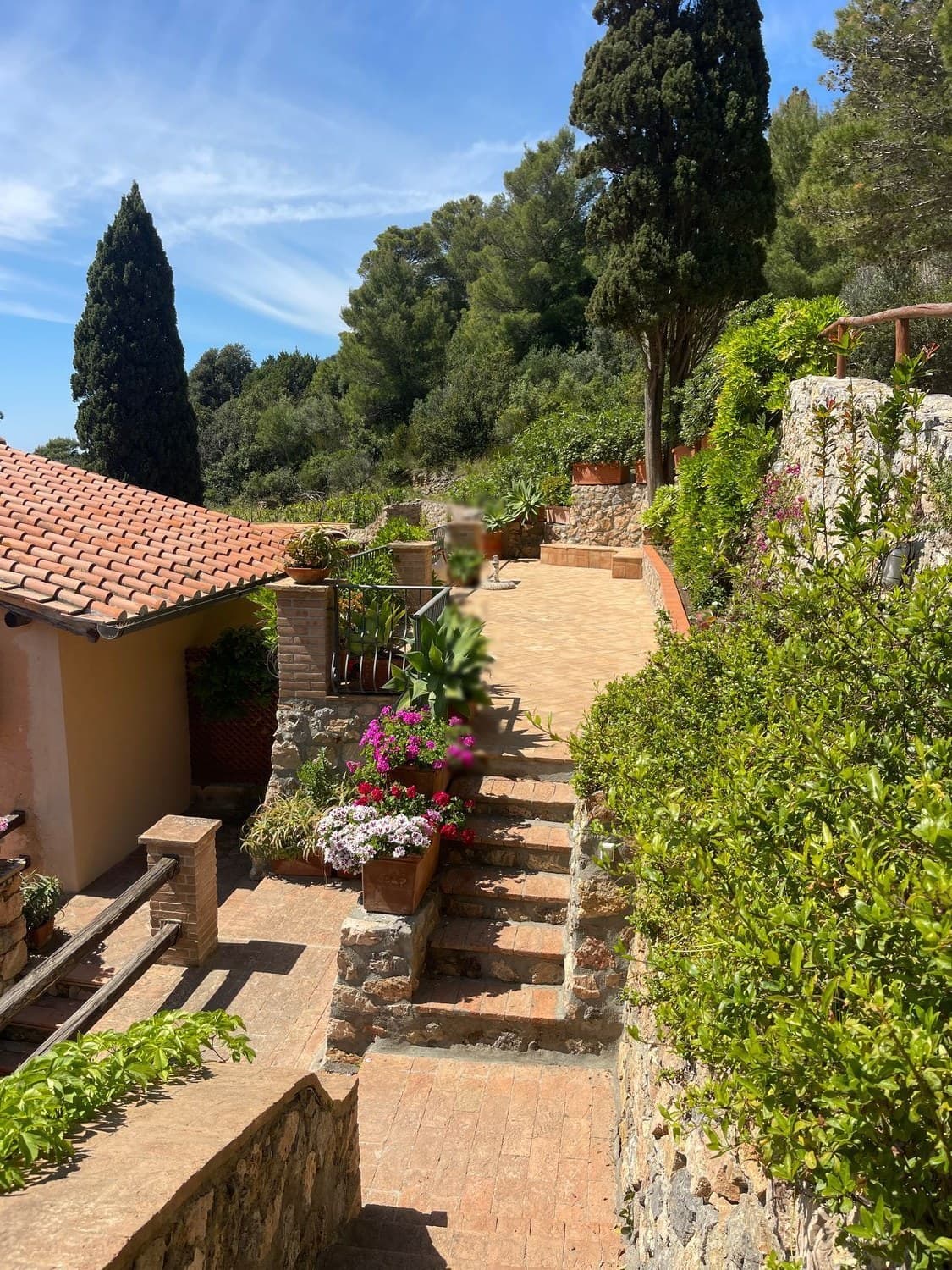 Appartamento vista mare a Cala Piccola — Terrazza ed esterni 5