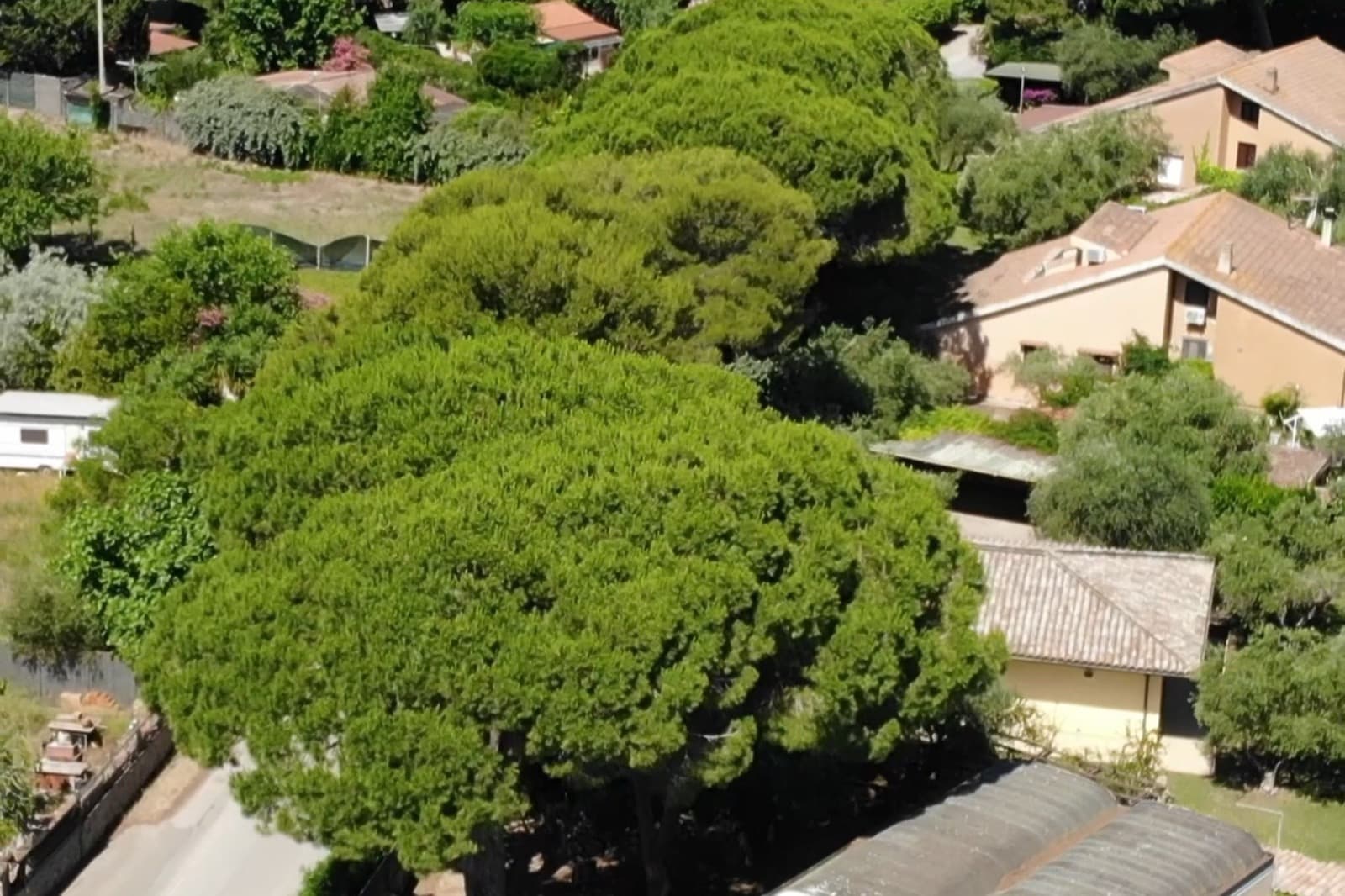 Villa indipendente alla Giannella, a 150 metri dal mare — Il contesto 5